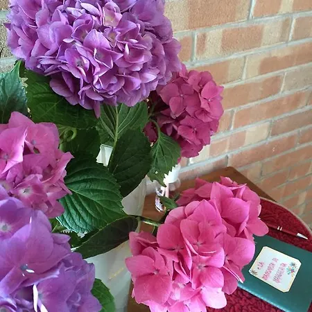 La Mansarda Di Margherita Treviso